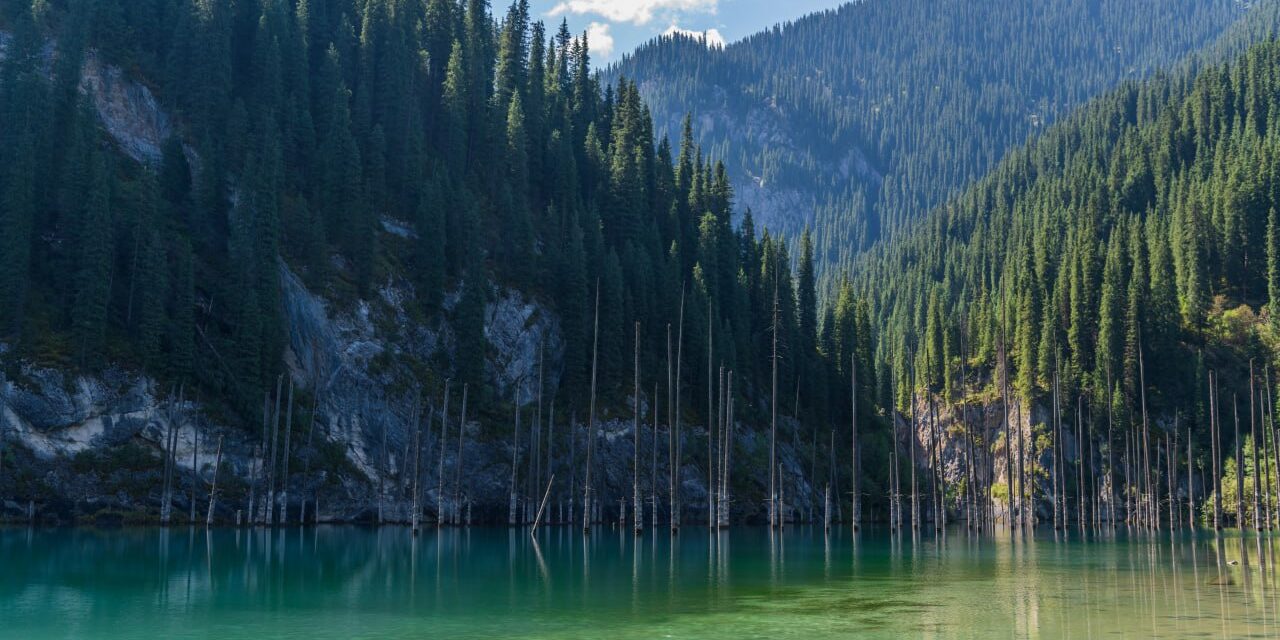 Vibrant Almaty